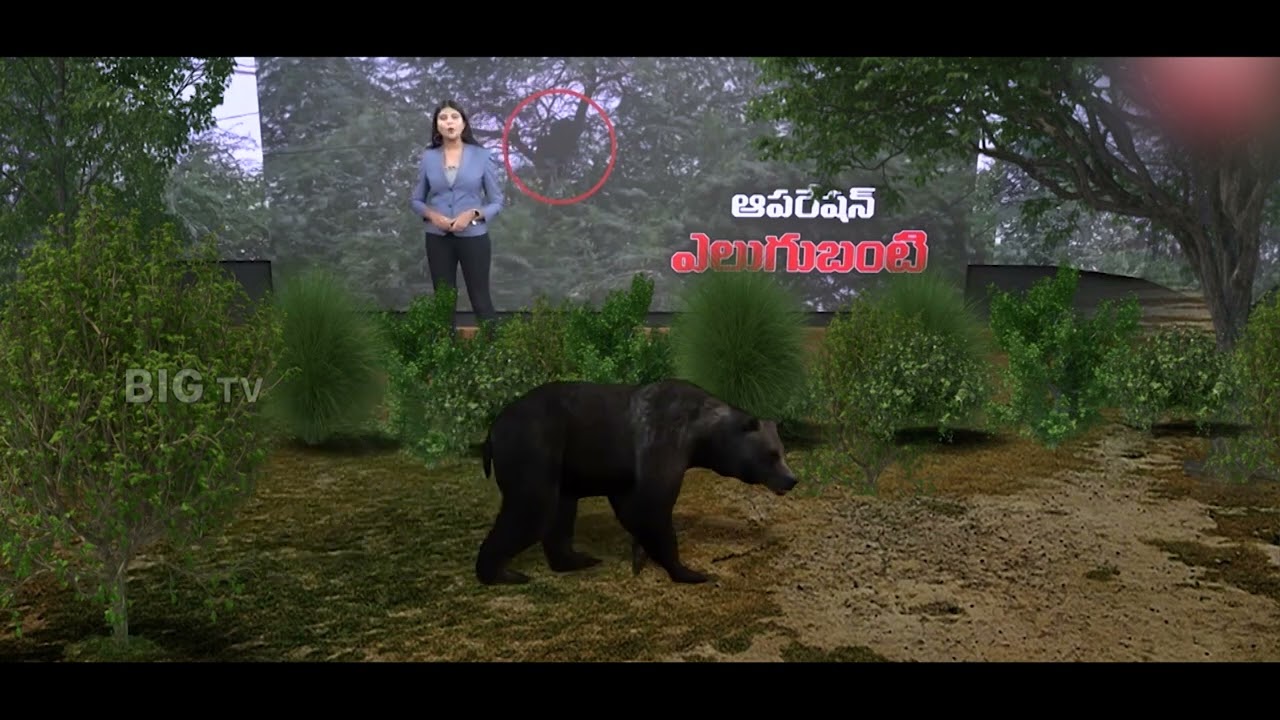 BigTV Telugu is a technology first 24/7 LIVE Telugu satellite news channel