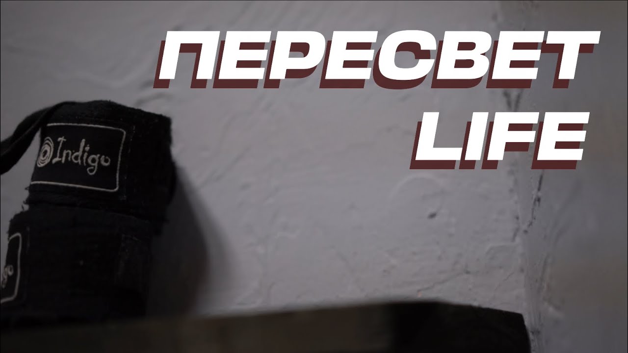 Пересвет LIFE