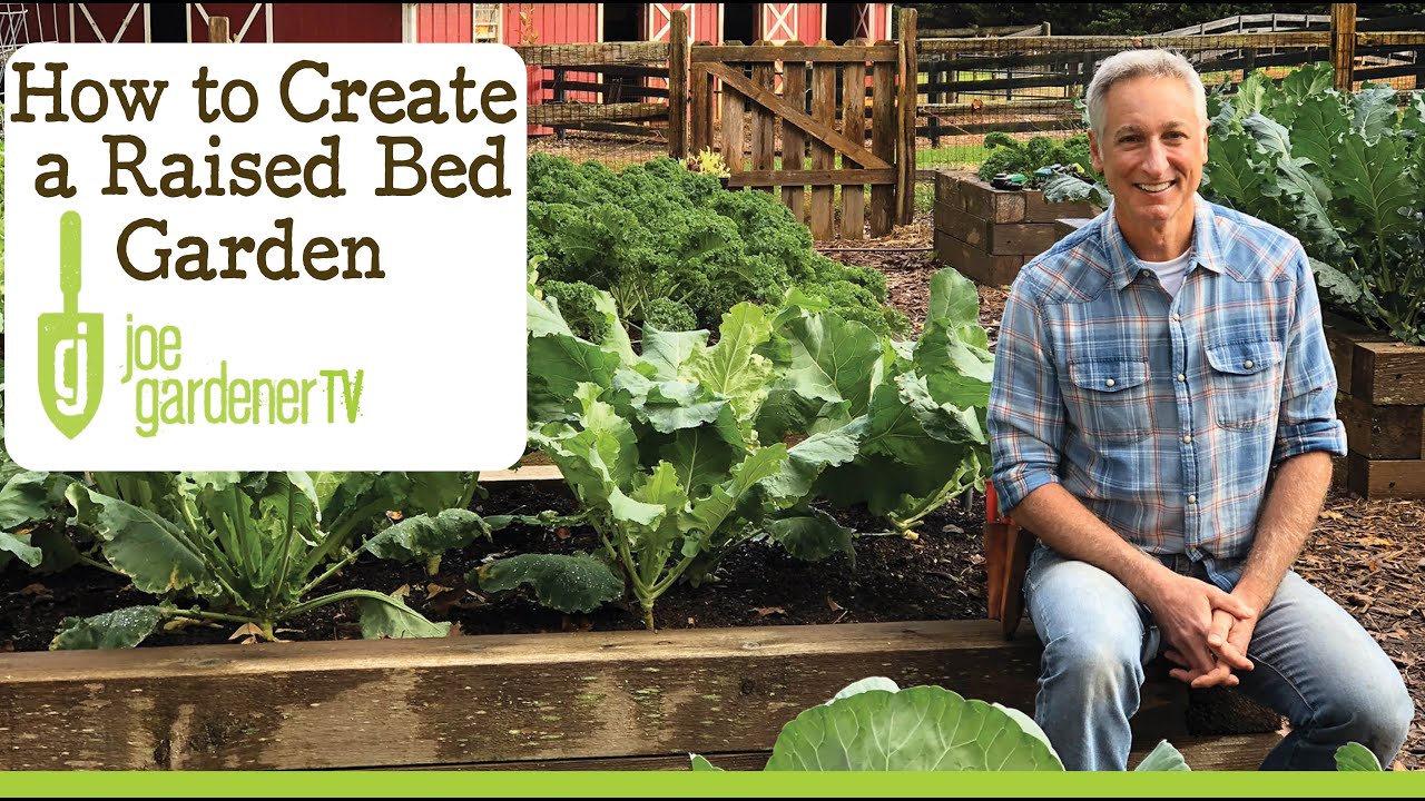 How to Create a Raised Bed Garden