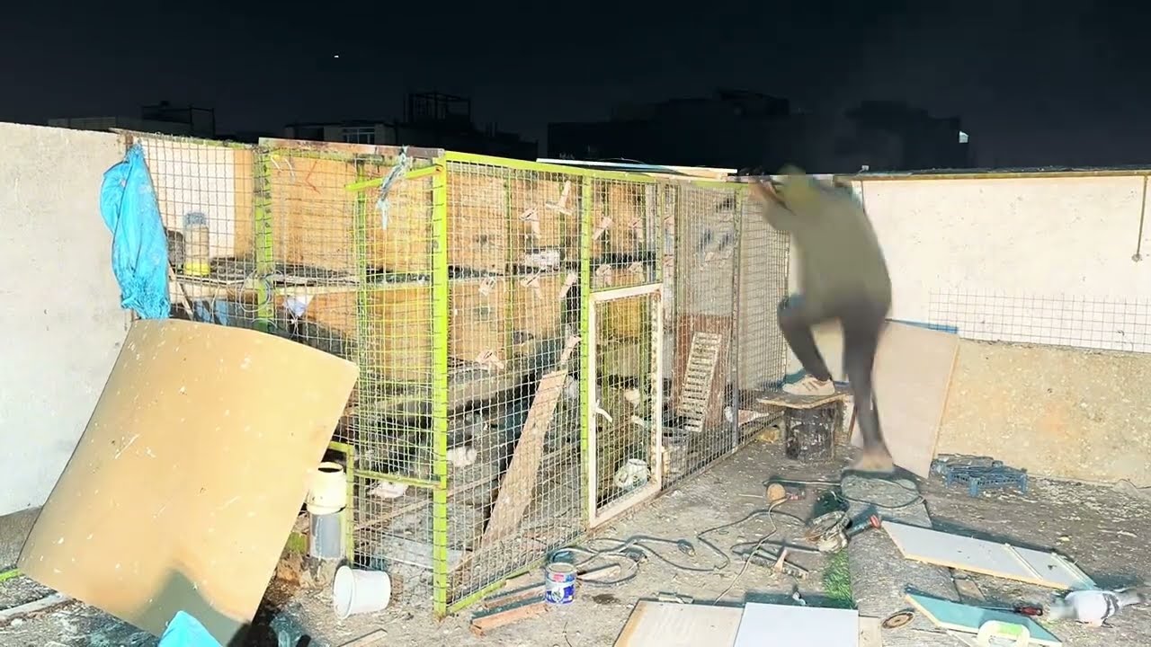 مراحل نصب سقف جفتگاه کبوتران مسافتی در مشهد!ساخت آغل کفتر 