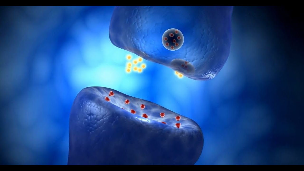What are Redox Signaling Molecules