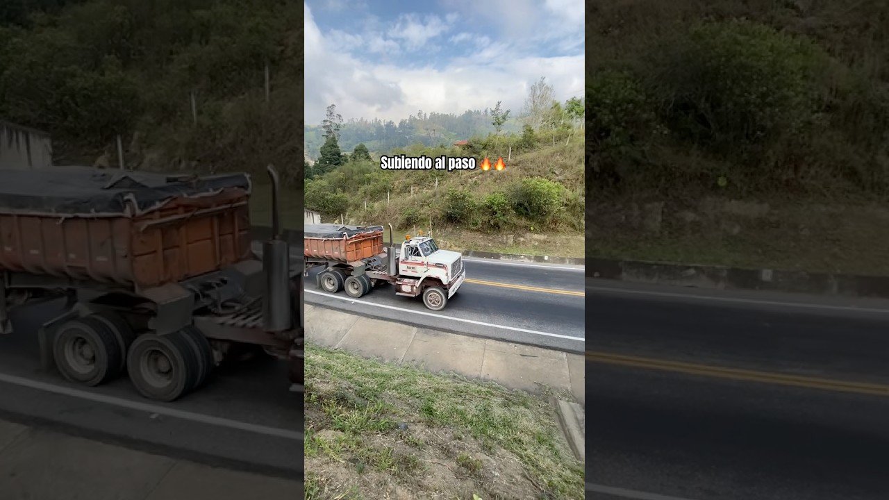 Carepanela🔥 #viejaguardia  #tractomulascolombianas  #latiendacamionera