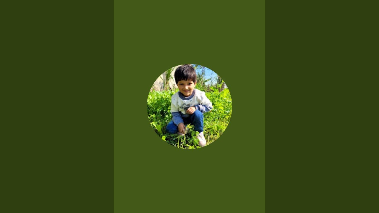 Ruhi Shorts is live
