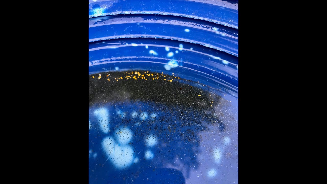 Gold Panning Somewhere in VT