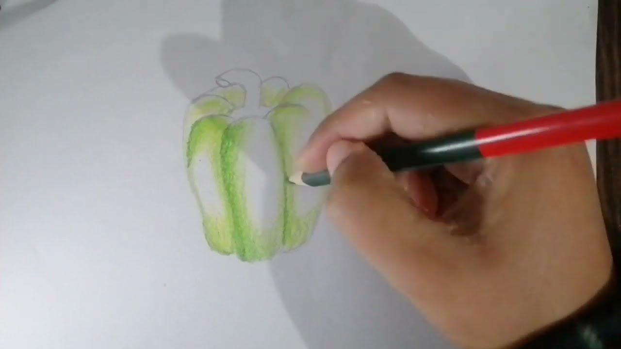 How to draw a Still life of Capsicum | Colouring Drawing | vegetable drawing