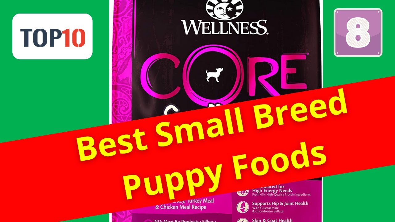 Top 10 Best Small Breed Puppy Foods- Wellness CORE Grain-Free Dry Dog Food (Reviews)✅Part 8