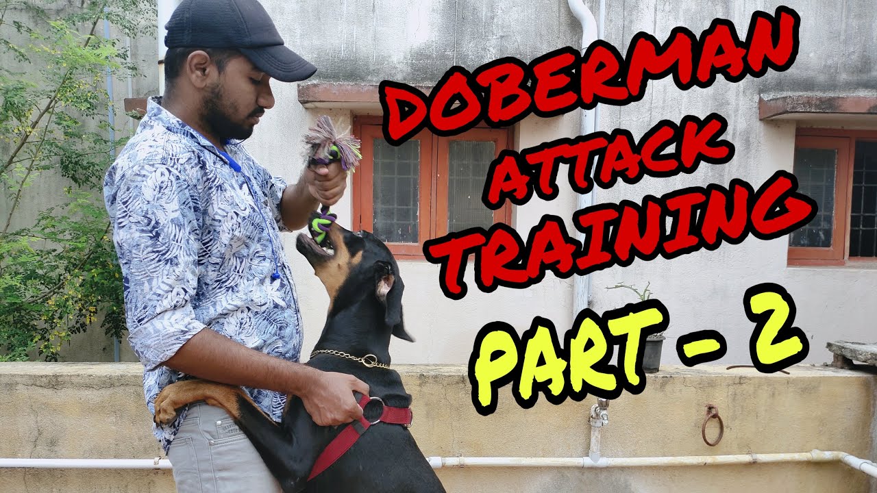 DOBERMAN TRAINING | PART - 2 | TAMIL | RAGUL RAM
