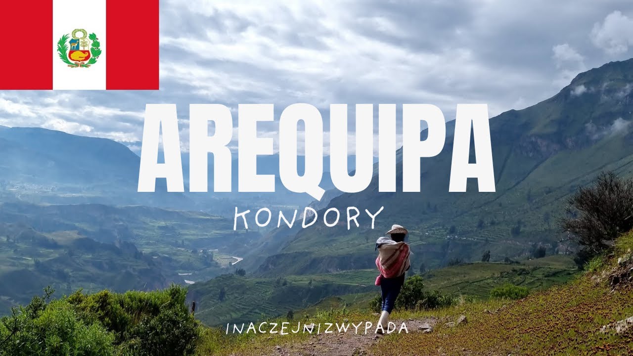 Peru : Arequipa &ndash; Miasto Wulkan&oacute;w i Wielkie Kondory And&oacute;w : Władcy peruwiańskiego nieba