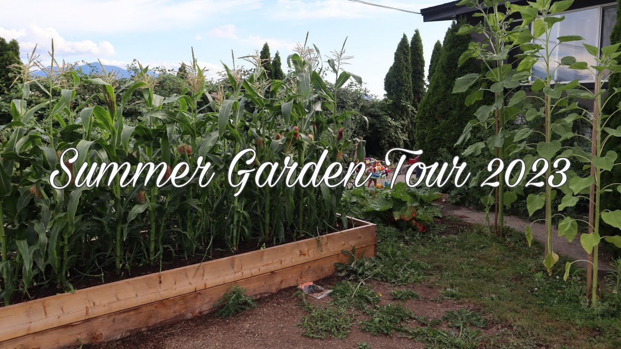 Summer Garden Tour 2023/Chicken update/Canning tomatoes