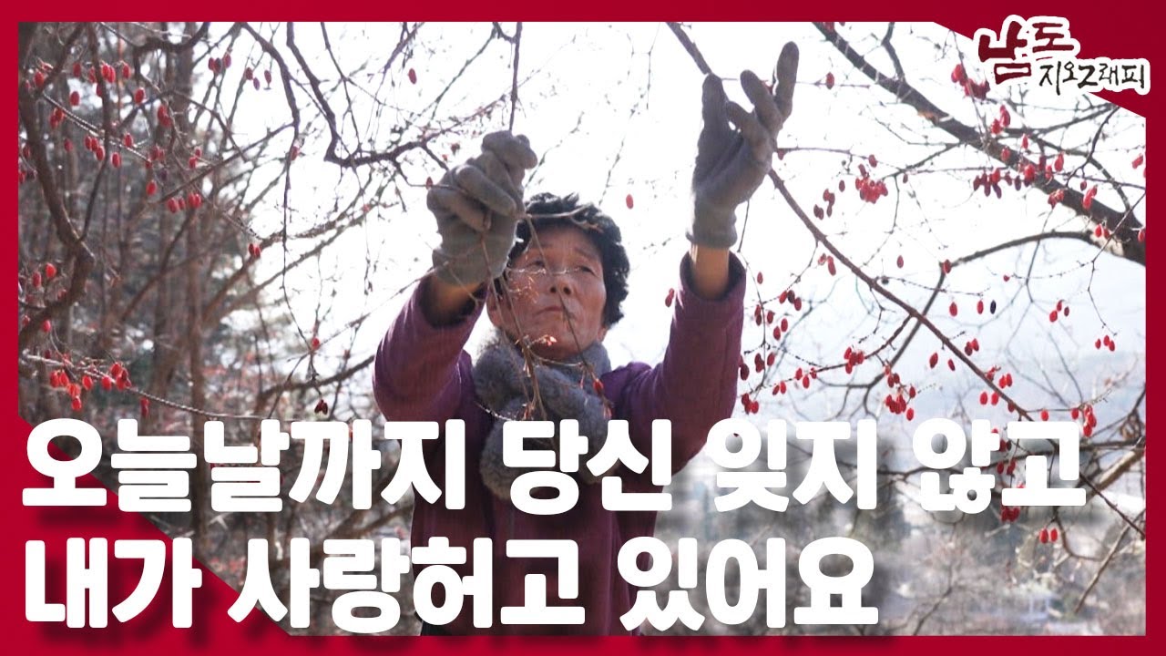 오늘날까지 당신 잊지 않고 내가 사랑 허고 있어요｜240110 남도지오그래피