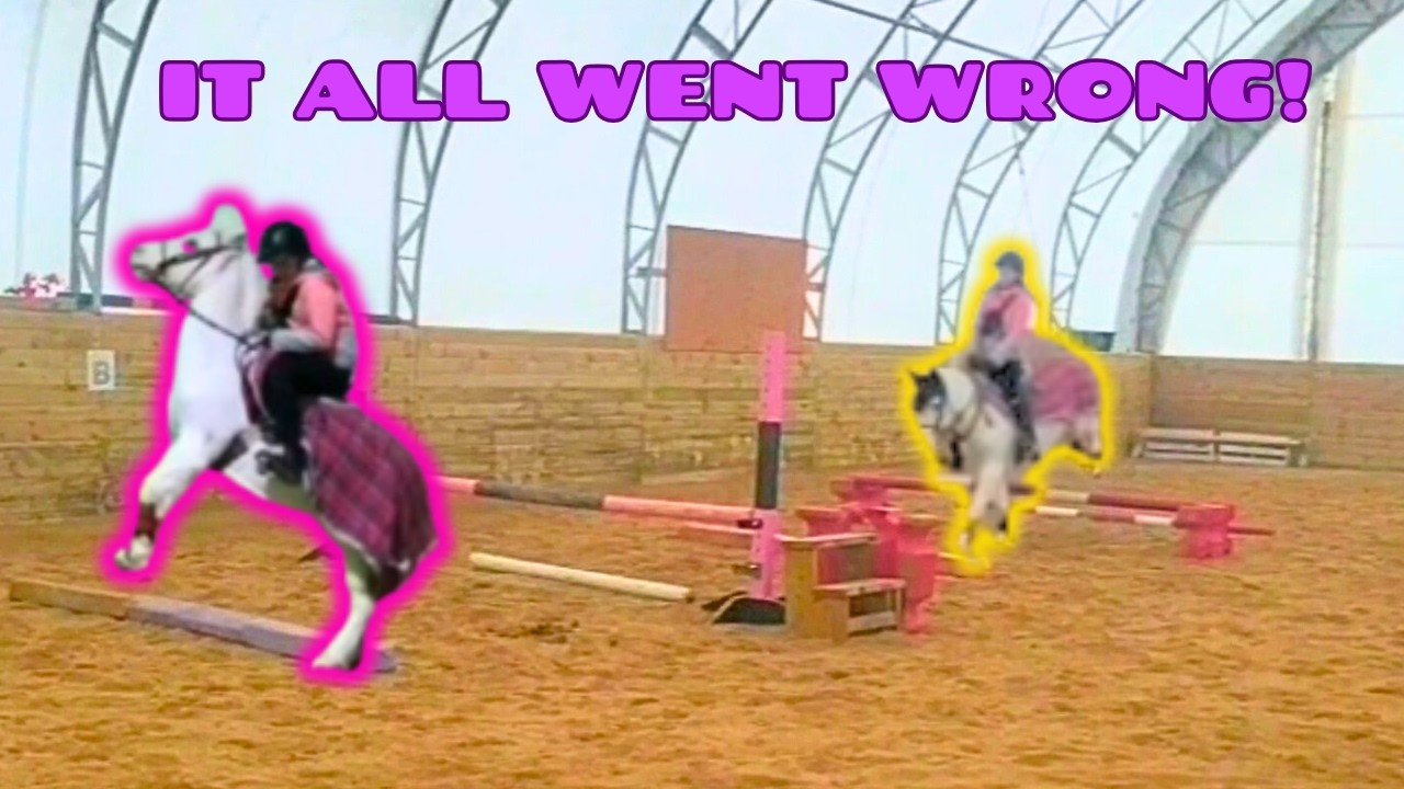 WE HAVE A NEW HORSE!