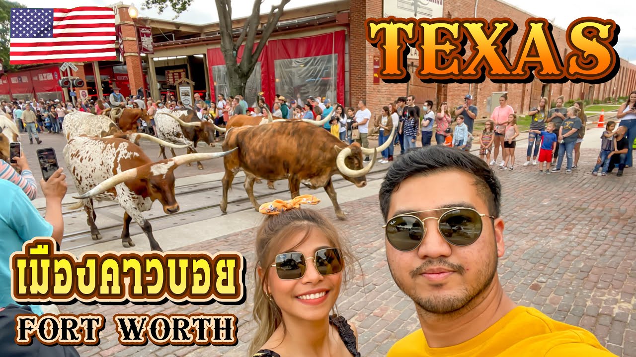 เที่ยวเมืองคาวบอยในเท็กซัส | วัว Longhorn เขายาวมาก! | รถกระบะซิ่งในอเมริกาแต่งจัดเต็ม! | Fort Worth