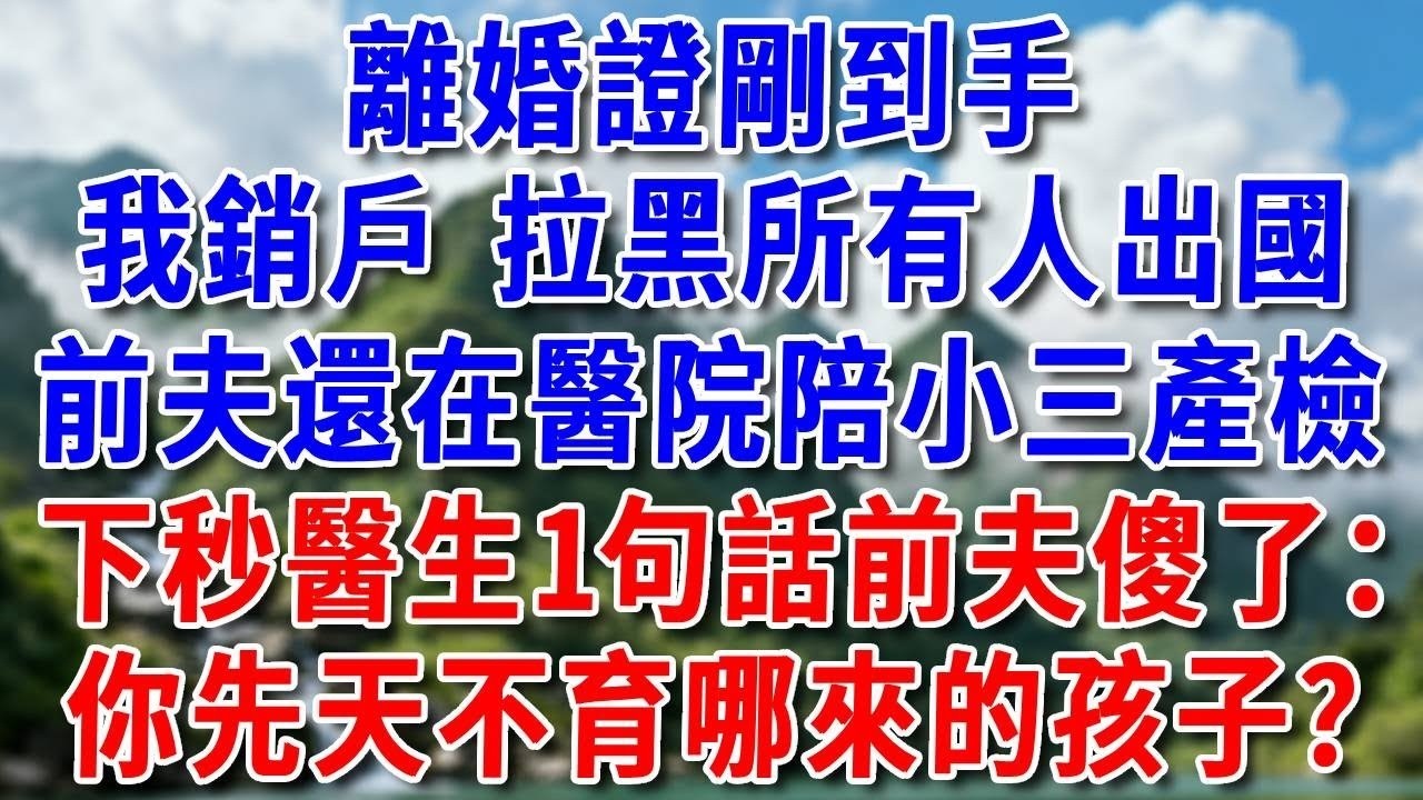 「晚晚要回國了，公司給我，其他的全歸你！」我平默默收回核心技術，隔天公司破産，他狂打我99+電話#好運年年#為人處世#生活經驗#情感故事#養老#睡前故事