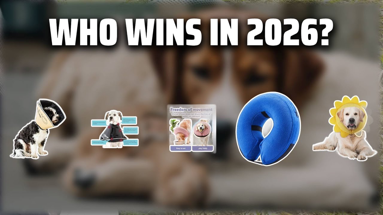 The Top 5 Best Comfy Cone in 2026 - Must Watch Before Buying!