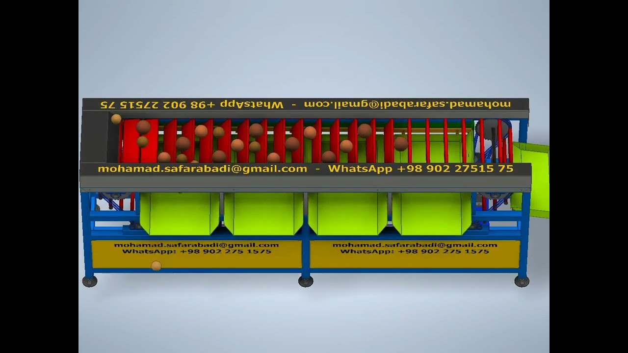 Fruit Sorting Conveyor 1