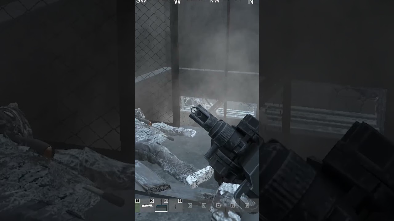 Dayz Romania