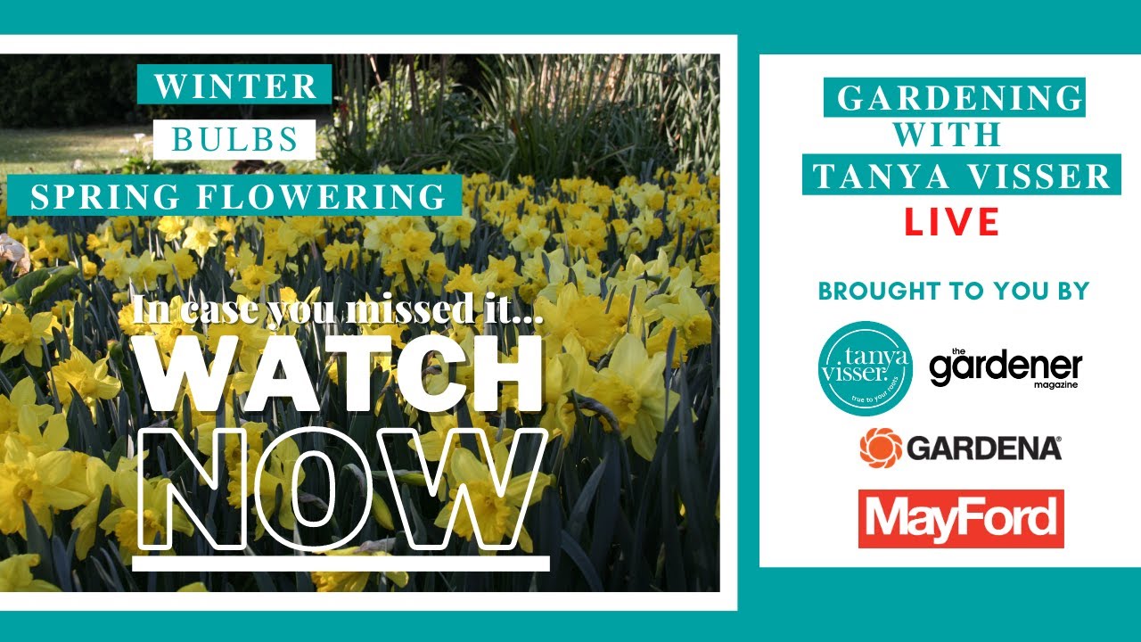 Spring Flowering Bulbs Masterclass with Tanya Visser