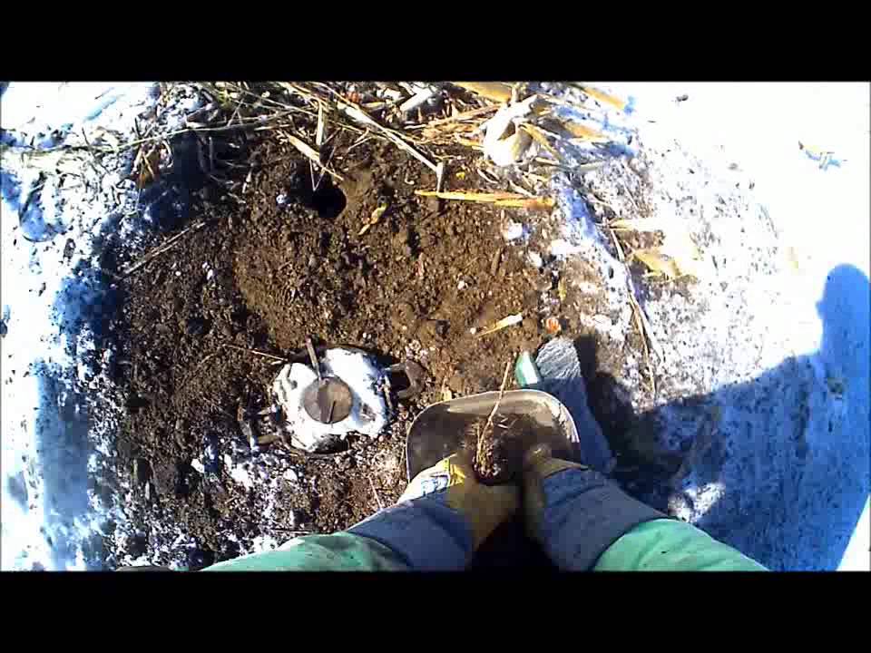 Winter Coyote Sets Frozen Ground and Snow Part 1