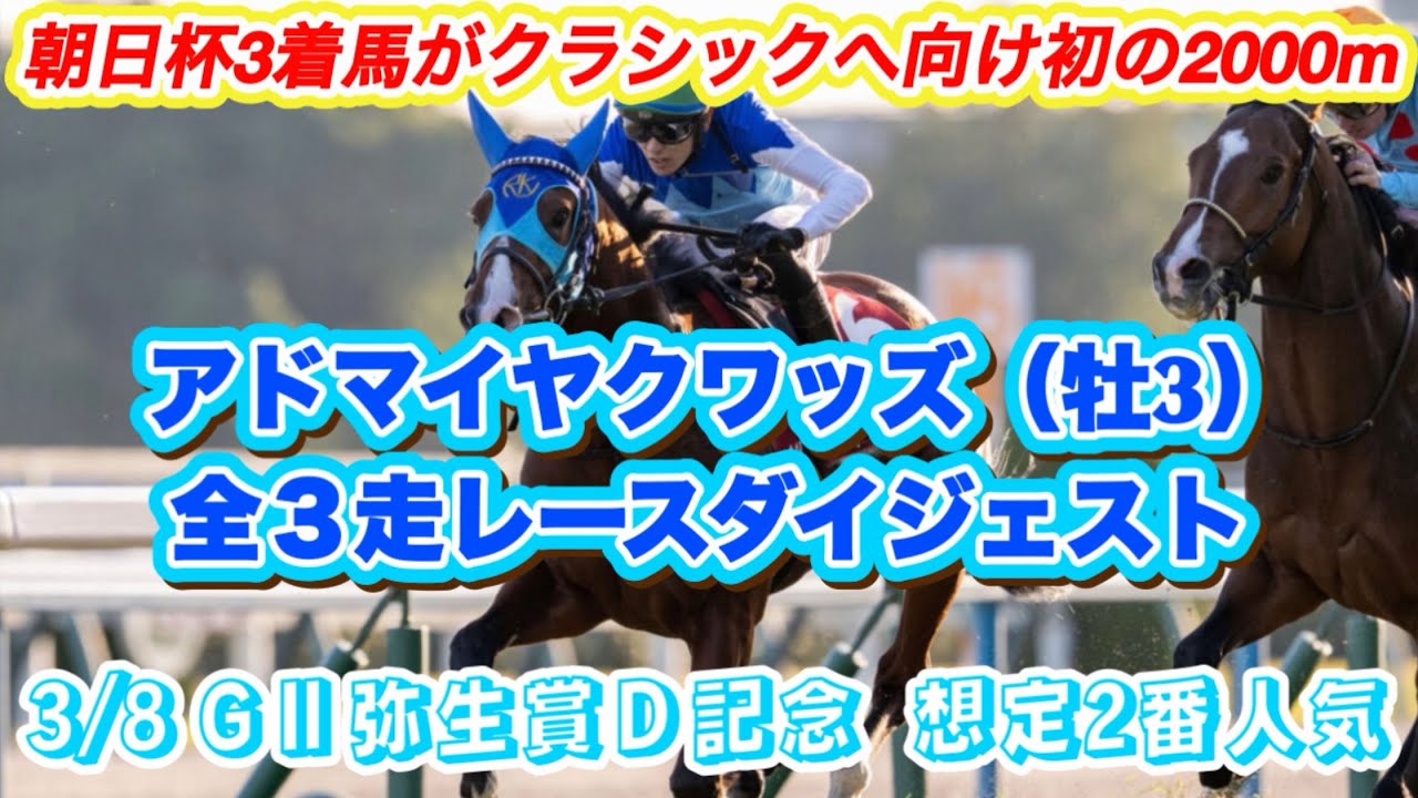 【アドマイヤクワッズ】GⅡ弥生賞ディープ記念想定2番人気！朝日杯3着馬の全3走レースダイジェスト