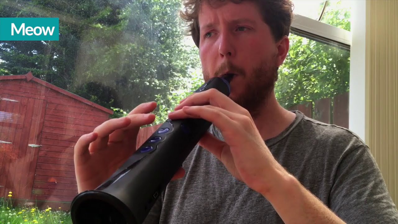 Sylphyo demo: Mariposa