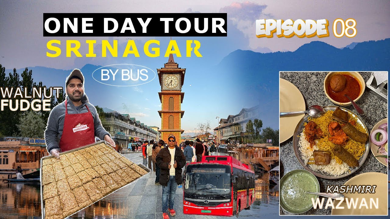 ഒരു ദിവസം കൊണ്ട് ഇത്രയും സ്ഥലങ്ങൾ ശ്രീനഗർ കാണാം | Srinagar One Day Tour Kashmir Ep 8 |