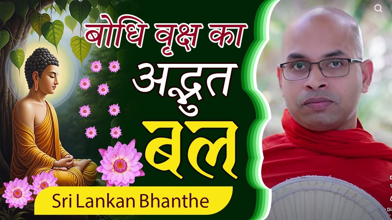 बोधि वृक्ष का अद्भुत बल - Sri Lankan Bhanthe