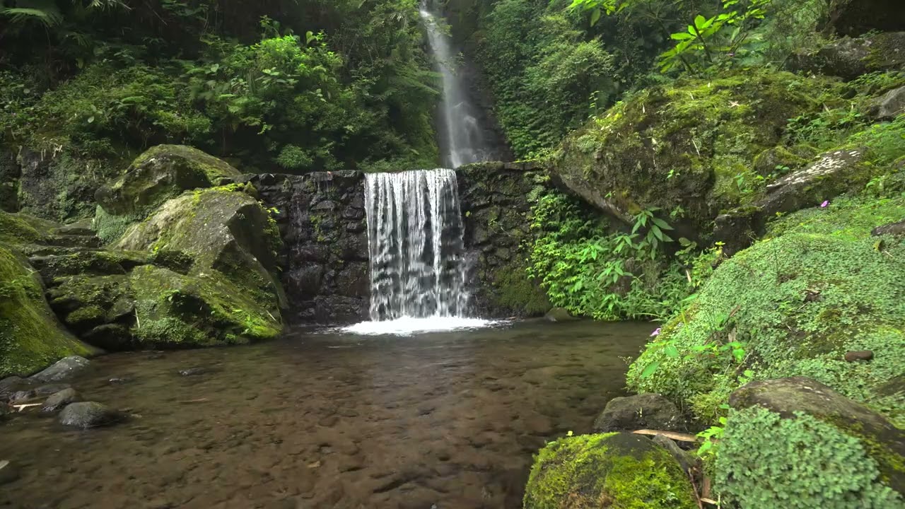 Healing therapy with river sounds and white noise for meditation and focus