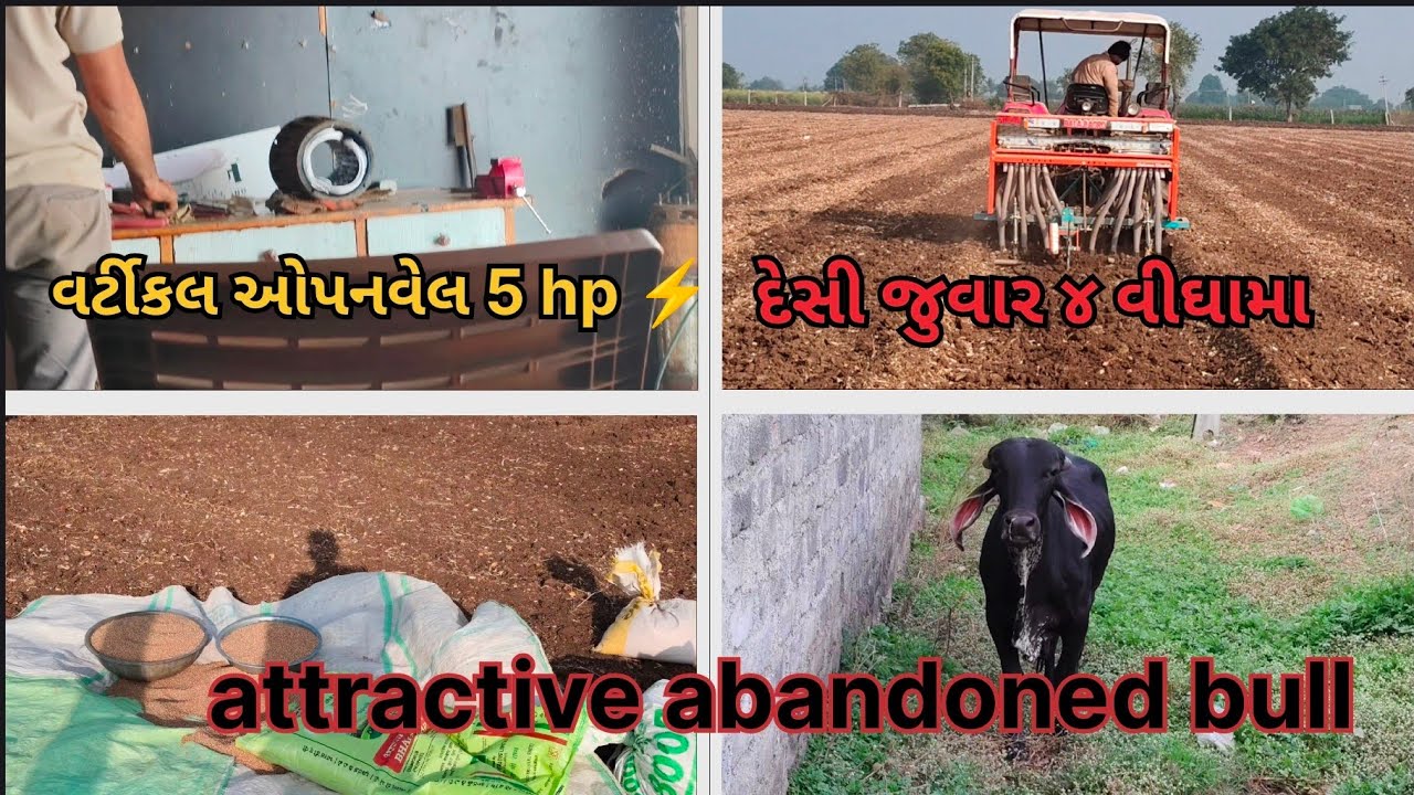 દેસી જુવાર ૪ વીઘાની વાવી || વર્ટીકલ ઓપનવેલ 5 hp ⚡||