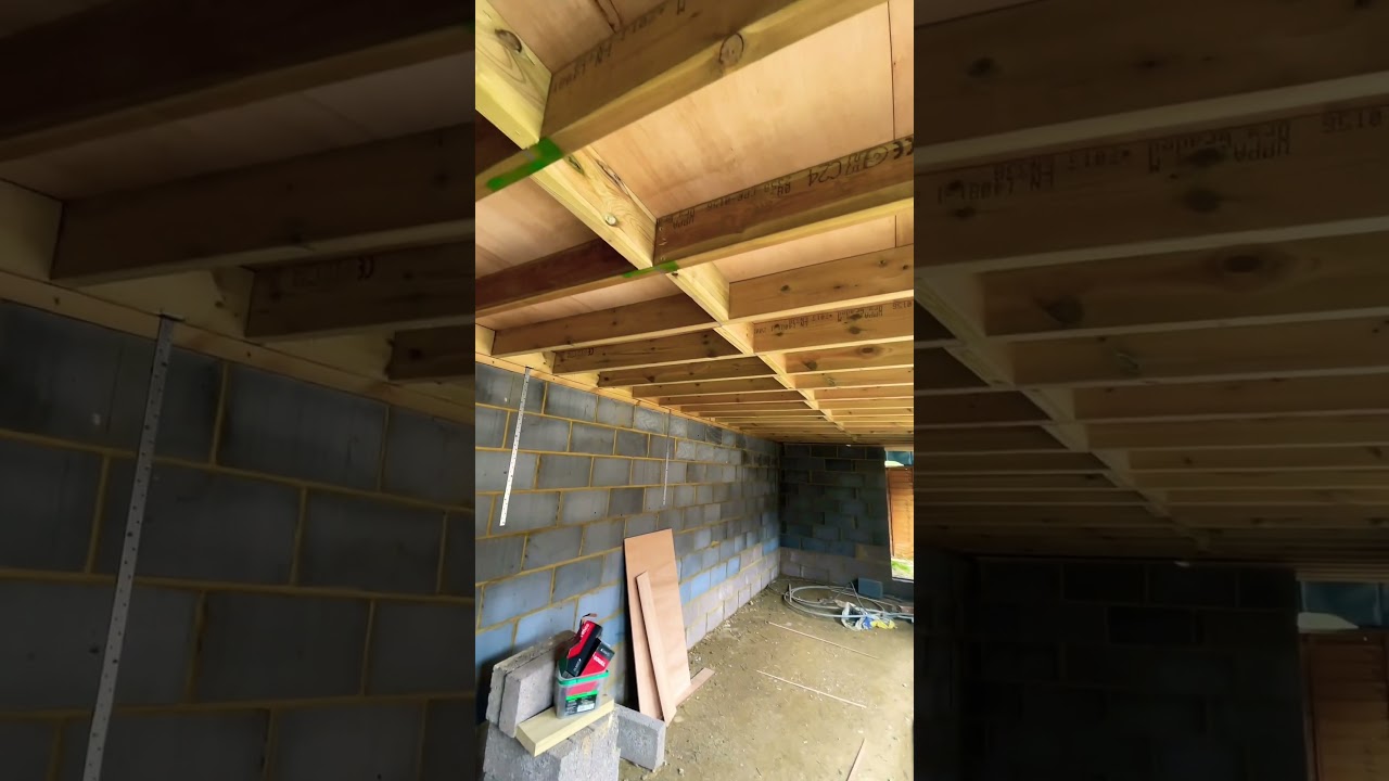 GARDEN OFFICE: DAY 17 - Roof Progressing