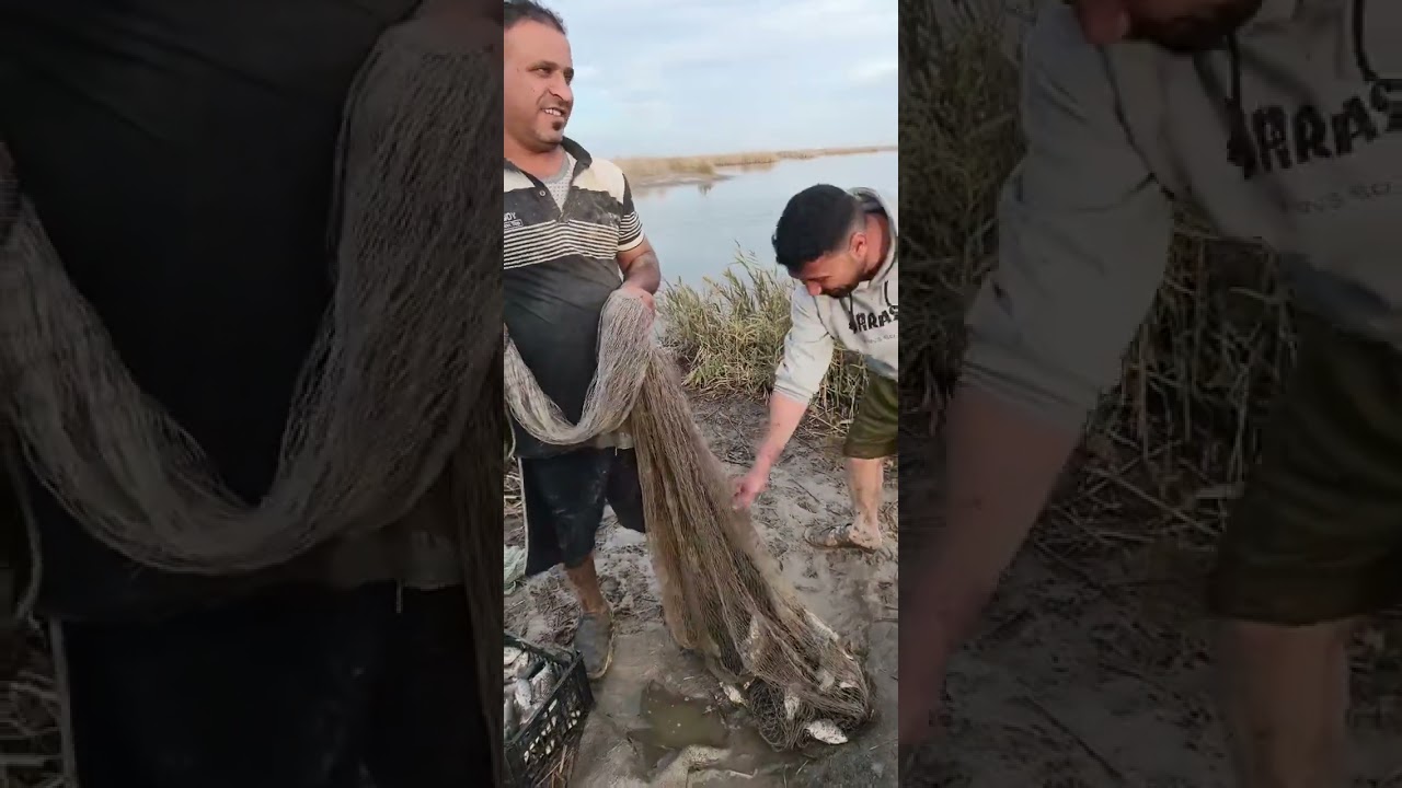 صيد سمك في بحر النجف