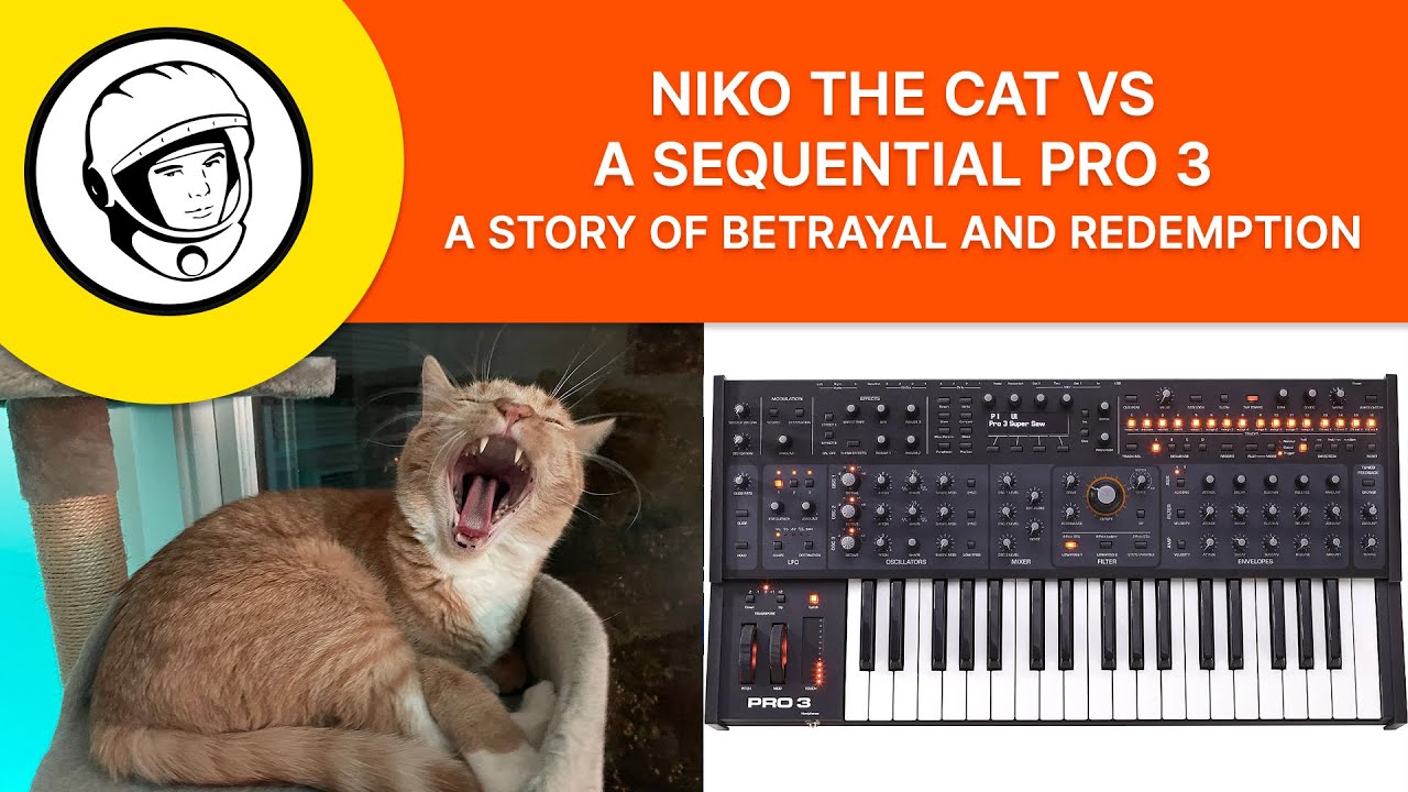 Niko the Cat vs a Sequential Pro 3