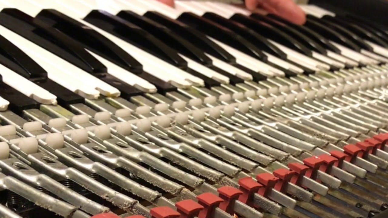 Mellow Laydown on the Pianet T