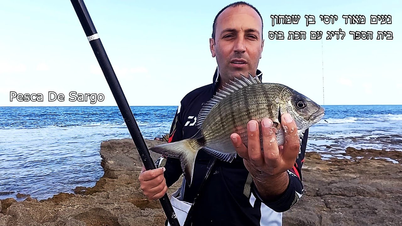 סרגוס ענק עם  10 מטר חכת בוס