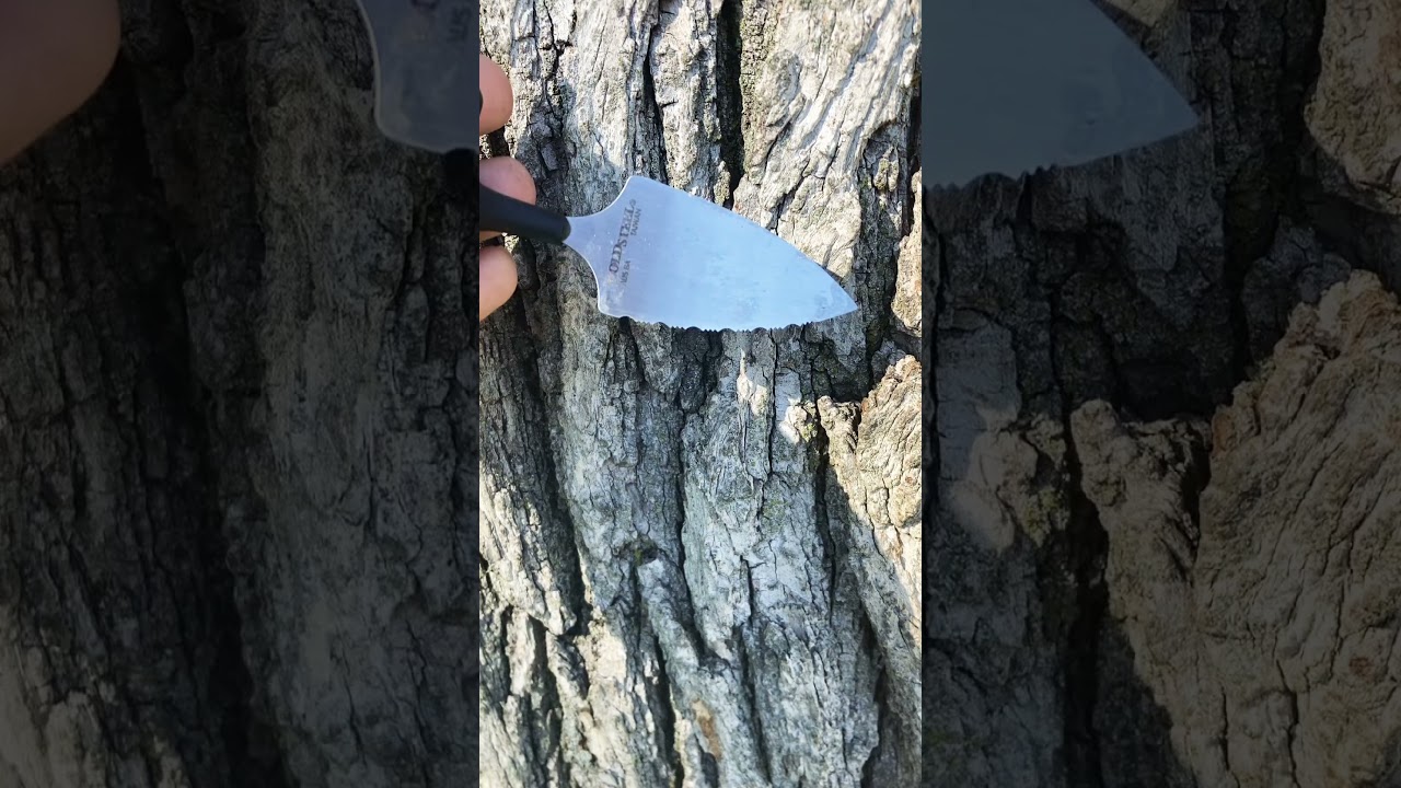 Well used and abused Cold Steel Urban Edge in a 50/50 edge! @csknives #edc #coldsteel #urbanedge #yt