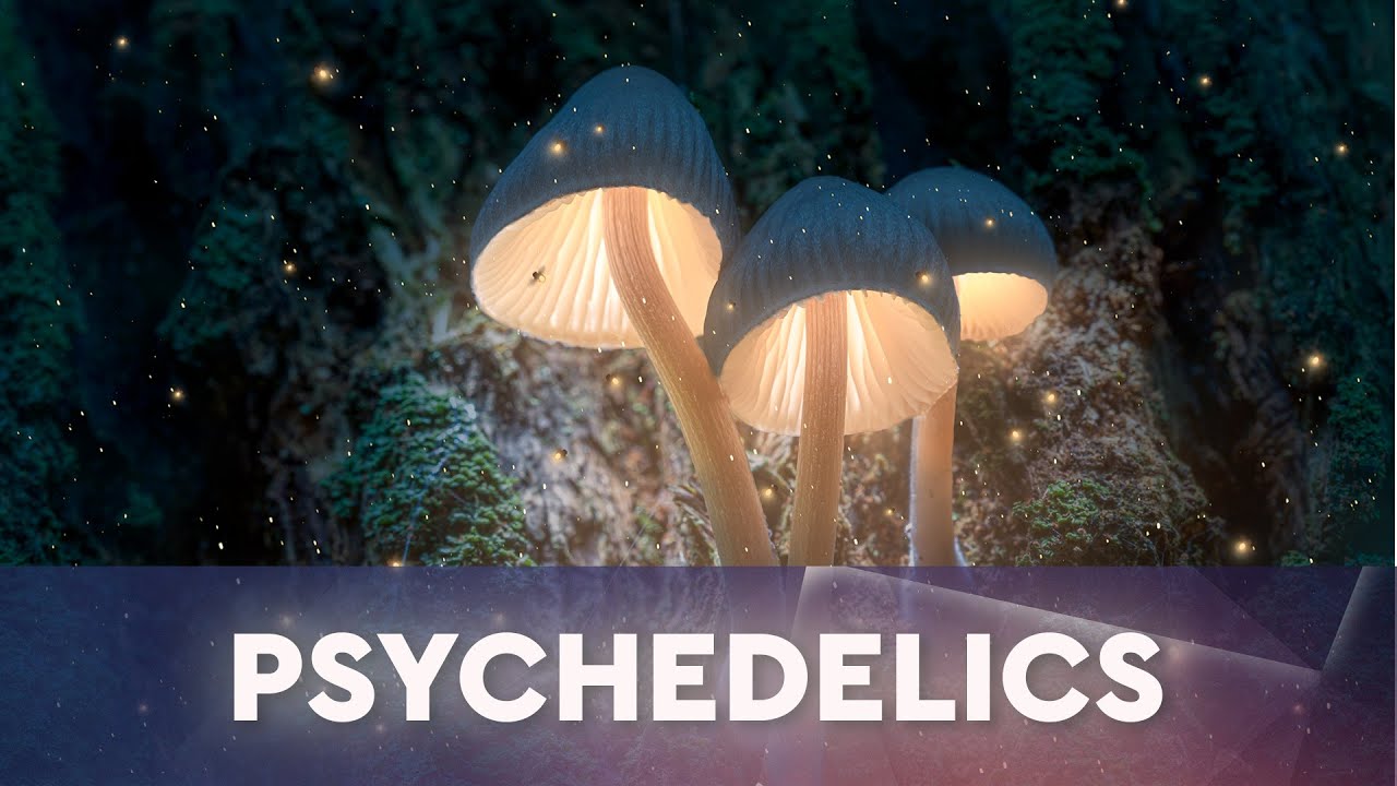 What's the future of legal psychedelics?