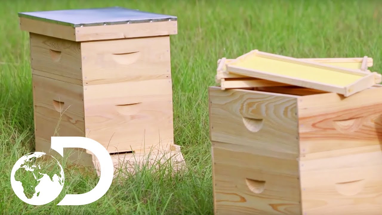 BEEHIVE | How It's Made