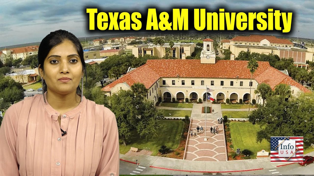 How To Get Scholar Ship In Amercian Universities || Texas A&M University Kingsville || Episode 10