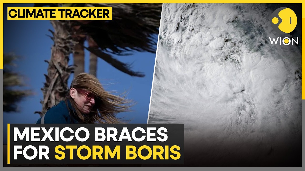 Storm Boris: Tropical Storm Boris Threatens Mexico | WION Climate Tracker