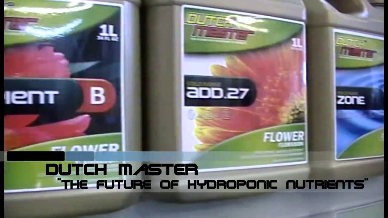 Dutch Master Nutrients from The Grow Shop