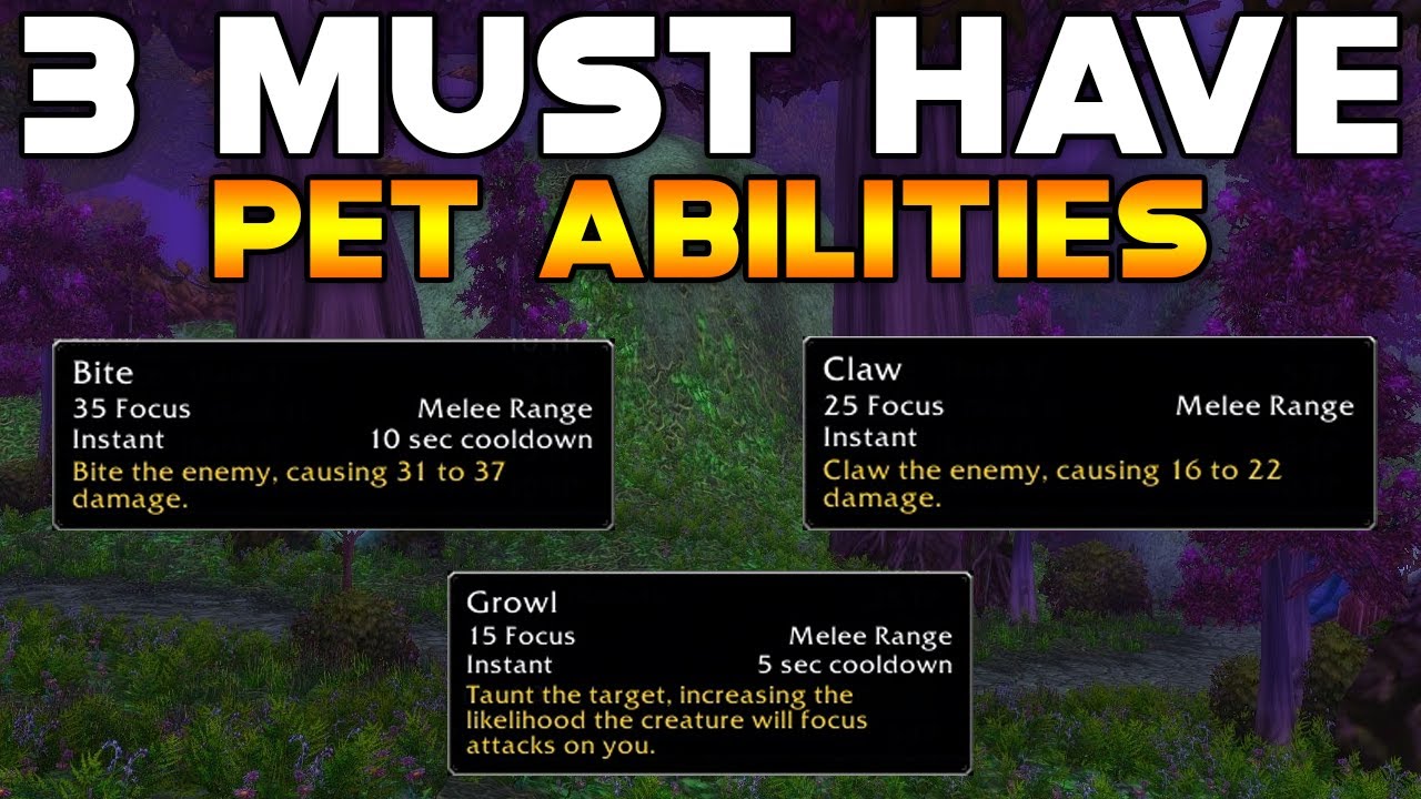 3 MUST HAVE HUNTER PET ABILITIES (And How To Get Them) - World of Warcraft Classic