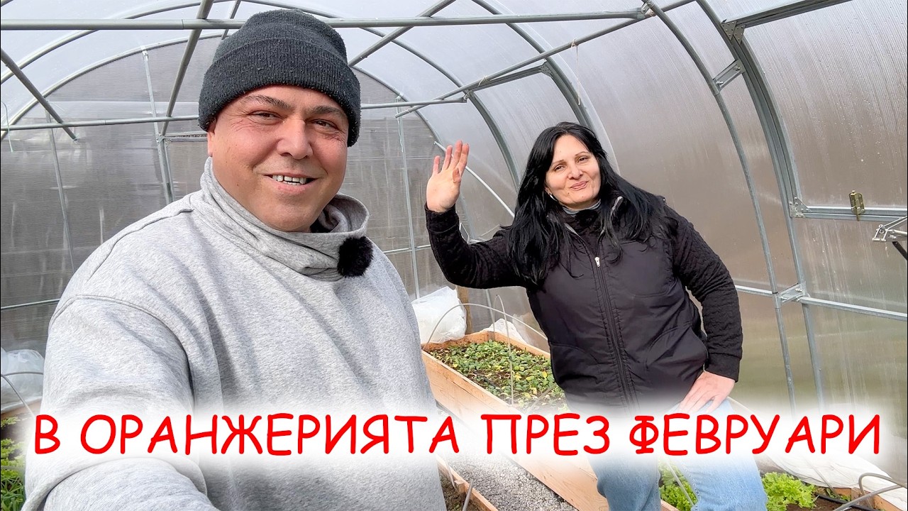 Защо не снимаме? Какво се случва когато няма слънце в оранжерията?
