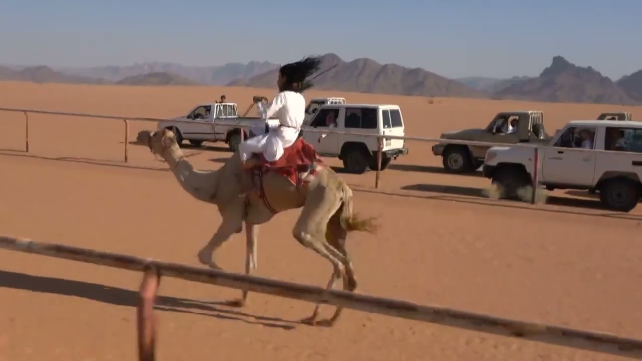 شوط الماراثون 8كم ( مشكور ) لـ ضويحي بن محمد الحويطي 1443/12/16 هـ