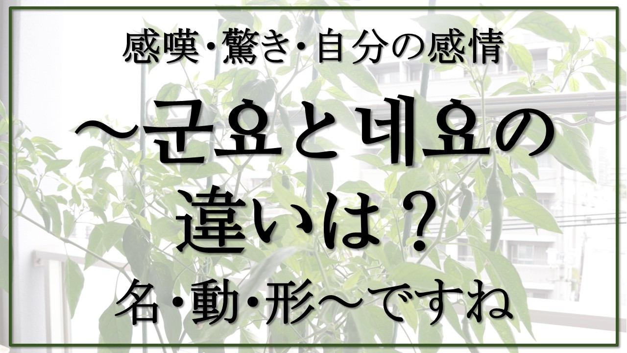 【韓国語ー初級②】韓国語の感嘆・驚き～ですね🌸～군요/네요の違い!!