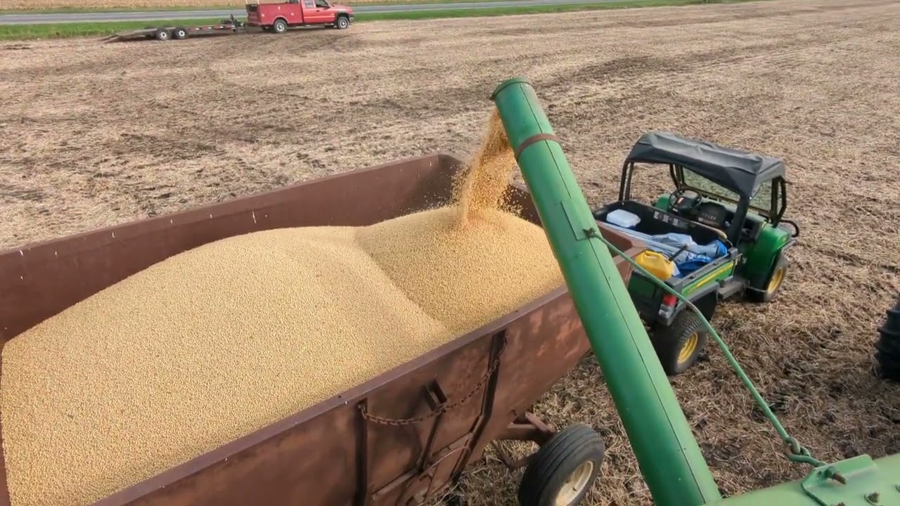 John Deere 42 combine unloading soybeans
