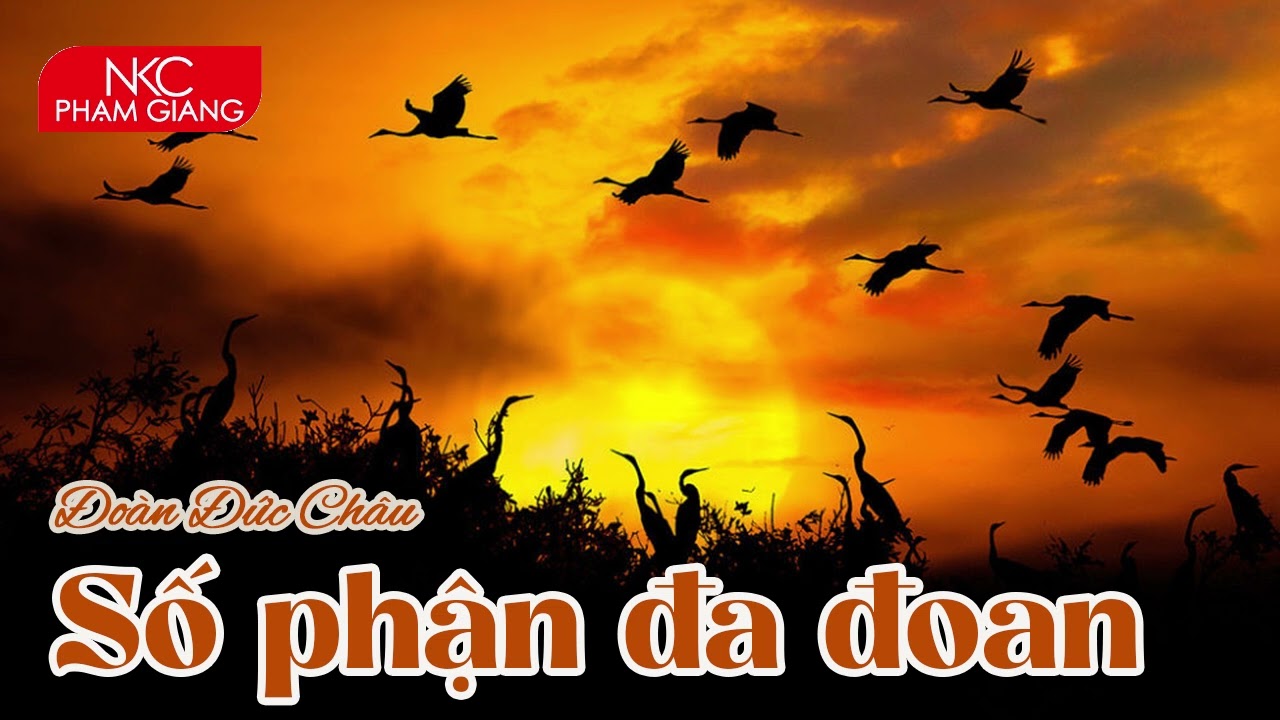 Số phận đa đoan I Cuộc đời đầy biến cố của người phụ nữ quyết liệt và tình mẫu tử vượt lên tất cả