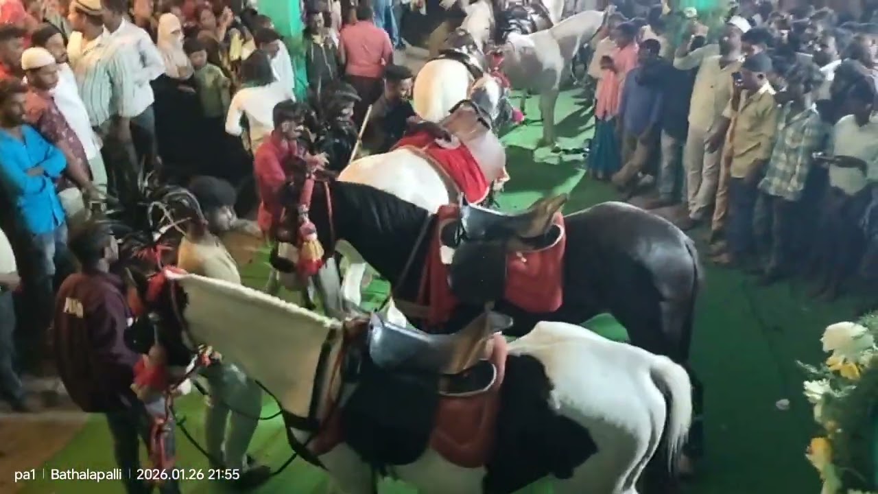 బత్తలపల్లి ఇమాం ఖాసీం స్వామి గంధం సందర్బంగా గురాలు@pa1star #bathalapalli#dance#hores#telugu#trending