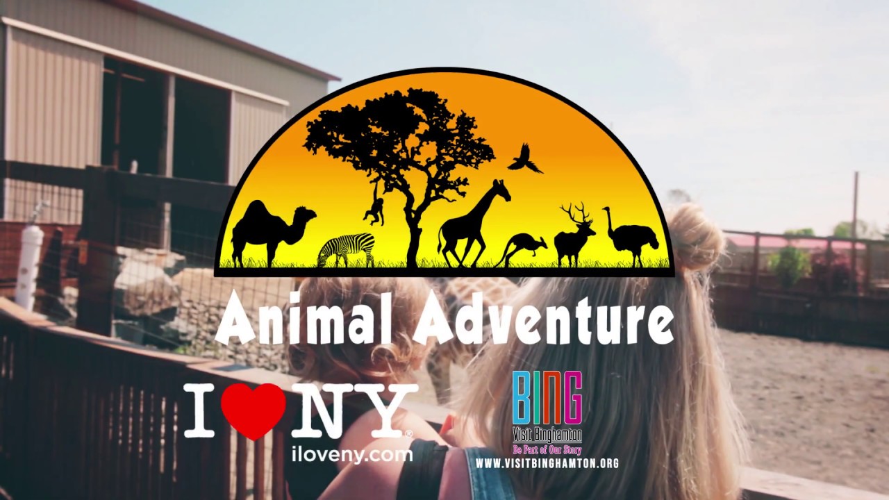 Your Animal Adventure Awaits!