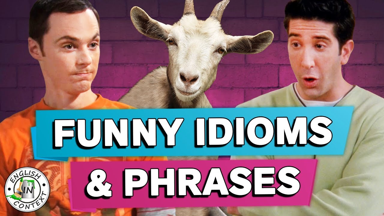 Funny Idioms & Phrases
