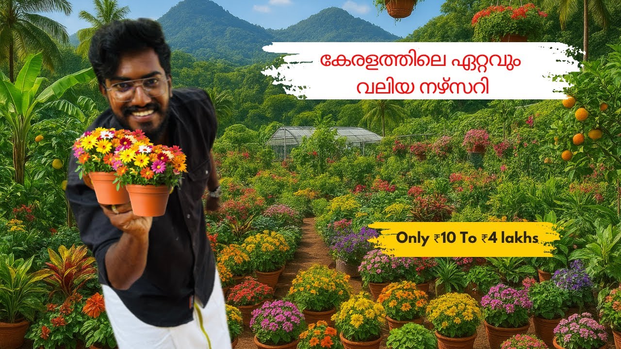 ₹10 മുതൽ ₹4 ലക്ഷം വരെ 💰 | കേരളത്തിലെ ഏറ്റവും വലിയ 🌸 പ്ലാന്റ് നഴ്സറി 🌳 | Agrotill #farming
