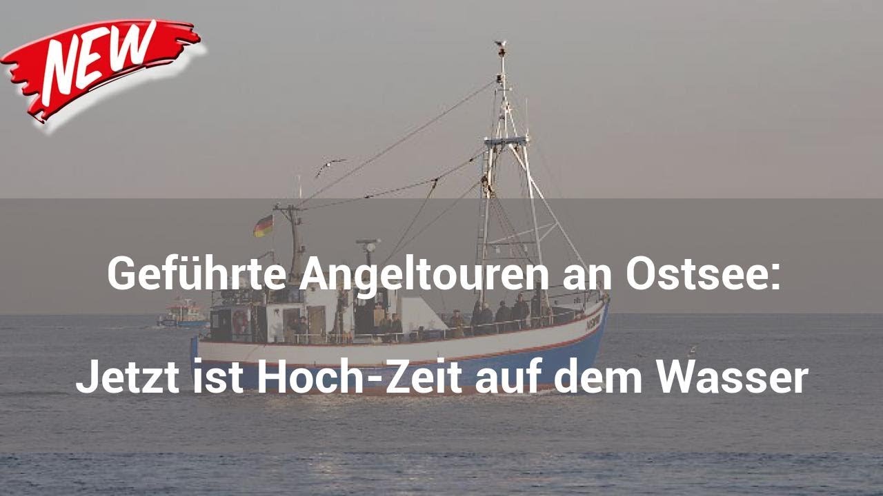 Gef&uuml;hrte Angeltouren an Ostsee: Jetzt ist Hoch-Zeit auf dem Wasser